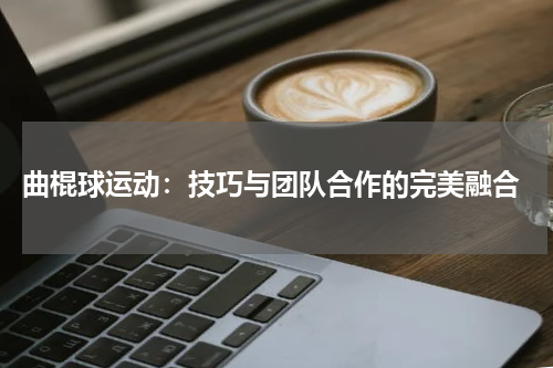  曲棍球运动：技巧与团队合作的完美融合