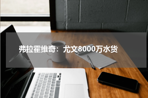弗拉霍维奇:尤文8000万水货